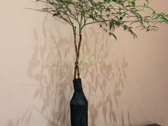 -恒悦轩·粤菜(上海展览中心店)