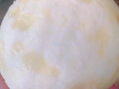 -南汇新场正宗水蜜桃采摘