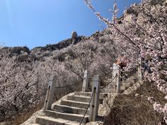 -北京凤凰岭