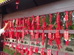 -中国翰园碑林