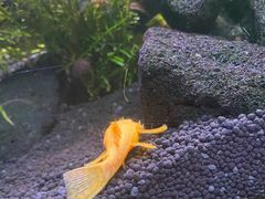 -上海海洋水族馆