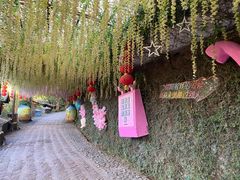 -观澜山水田园