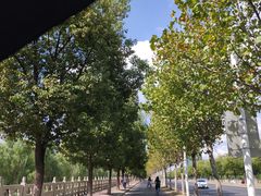 -东南大学(九龙湖校区)