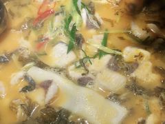 -严厨老坛酸菜鱼(张掖路店)