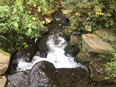 -中国茶叶博物馆(双峰馆区)