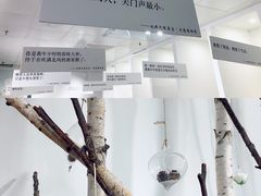 -成都失恋馆
