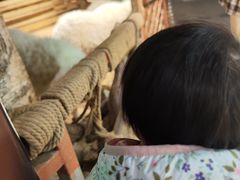 -正佳雨林生态植物园