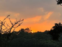 -南国桃园旅游度假区