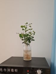 点击看大图 -舒欣头疗·俏丝谧语 白发脱发专业护理