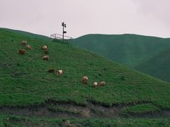 -新疆那拉提国家旅游度假区