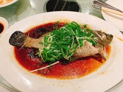 -龙皇酒家(开源道店)