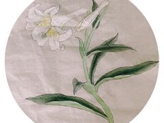 -谷隆画舍·国画书法素描彩铅水彩