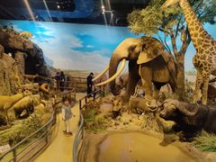 -陕西自然博物馆