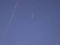 -红灯笼大酒楼(通湖路店)