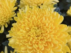 -兴隆文化园景区