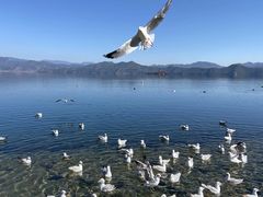 -丽江泸沽湖景区