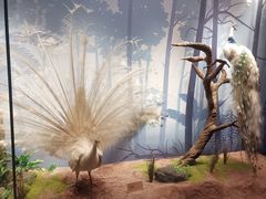 -陕西自然博物馆