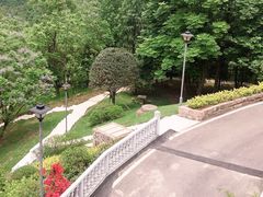 -铁山坪森林公园