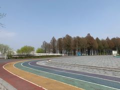 -贡湖湾湿地公园