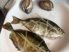 -青蓬蒸汽海鲜·深圳老字号·团建聚会(壹方城店)