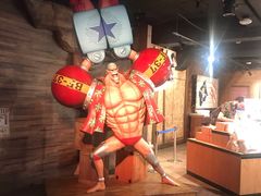 -东京塔海贼王主题公园