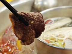 -金鼎雪山牦牛杂火锅(理县总店)