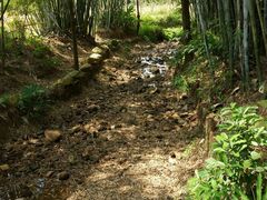 -田心森林公园