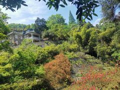 -莫干山风景区