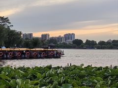 -济南大明湖景区