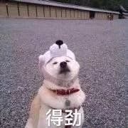 -鲜果时间·果蔬茶(赛格负二层店)