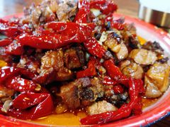 -柴窝堡22号辣子鸡·传承新疆菜