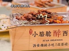 -福苗小骆驼烧烤(莲湖路店)