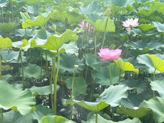 -重元寺香积厨素斋馆