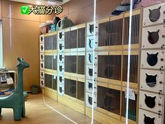 -pd派德宠物中心医院24H急重症·眼科中心·血液透析中心(嵩山北路店)