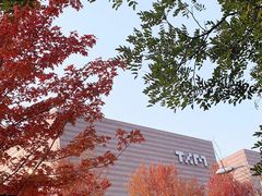 -清华大学艺术博物馆