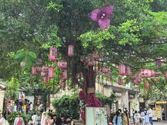 -深圳野生动物园