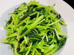 -鸽子窝(宋庄店)