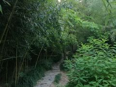 -竹子庵公园