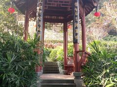 -乌山风景区