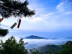 -六里坪国家森林公园