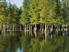 -白鹭湾湿地公园