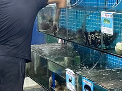水产区-范饭椰林川湘味海鲜·椰子鸡(三亚湾椰梦长廊店)