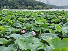 -岗子村(地铁站)
