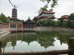 -高旻寺