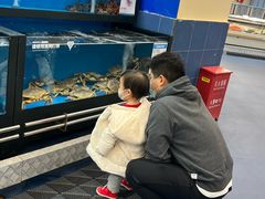 -盒马X会员店(王府井奥莱UP TOWN店)