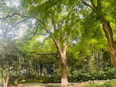 -上海市保健医疗中心