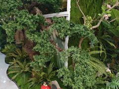 -百荣世贸商城