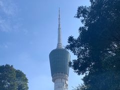 -梧桐山风景名胜区