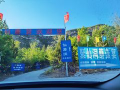 -仙蘑洞