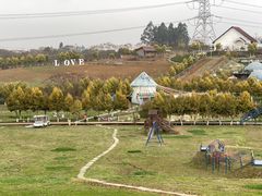 -紫颐香薰山谷景区
